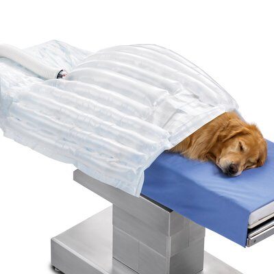 [53777] 3M™ Arizant Bair Hugger™ Animal Health Warming Blanket, Small