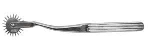 [12-1450] Fabrication Sensory Evaluation, Wartenburg Stainless Steel Pinwheel
