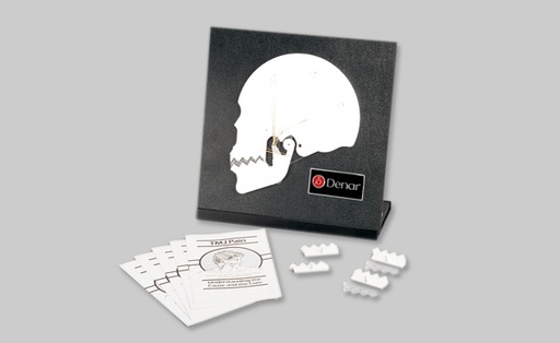 [650000] Whip Mix - TMJ Tutor Demonstration Device