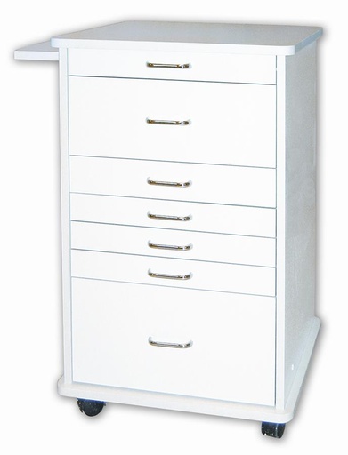 [TMC-120G] TPC North Carolina Mobile Cabinet