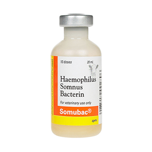 [10000366] Somubac 10 Dose - 20 mL (Keep Refrigerated)