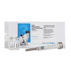 [108904] Solo-Jec Feline 3 Syringe 1 Dose - 1 mL (Keep Refrigerated)