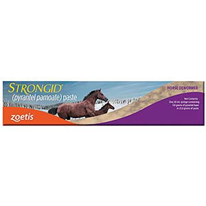[10000468] Strongid Paste - 20 mL
