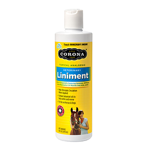 [97035355] Corona Muscle Repairing Liniment for Horses - 16 oz