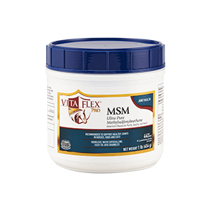 [3000093] Vita Flex MSM 45 Day Supply - 1 lb