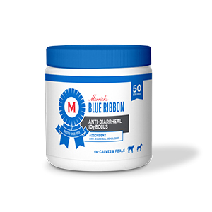 [40970086] Anti-Diarrheal Bolus 20g (Cattle) - 50 ct