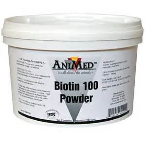 [90111] Biotin 100 Powder - 5 lb