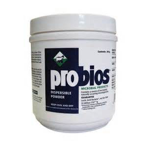 [CHR-404] Probios Dispersible Powder - 240 g