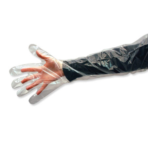 [3106] Ideal OB Standard Clear Gloves - 100 ct