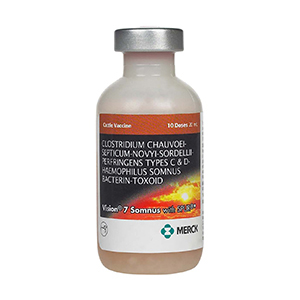 [069105] Vision 7 Somnus 10 Dose - 20 mL (Keep Refrigerated)