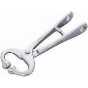 [7000] Ideal Bull Lead without Chain