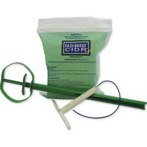 [10002182] Eazi-Breed CIDR Beef Applicator - Short, Green