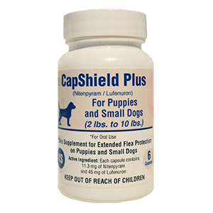 [291019] CapShield Plus for Dogs 2-10 lb - 6 ct