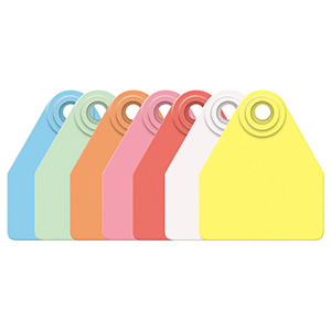 [GMF/GSM-Y] Allflex Ear Tag Medium Female/Small Male - Yellow Blank (25 Pack)