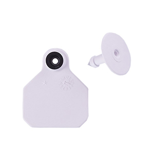 [6301000] Y-Tex 1 Star 2-Piece Ear Tag - White, Blank (25 Pack)