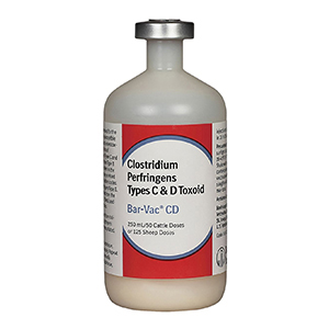 [135536] Bar Vac CD 50 Dose - 250 mL