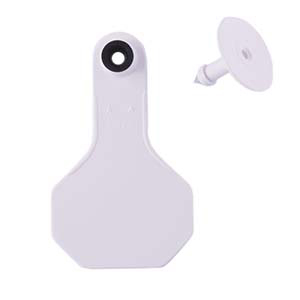[7501000] Y-Tex All American 2 Star Small 2 Piece Ear Tag - White Blank