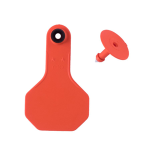[7503000] Y-Tex All American 2 Star Small 2 Piece Ear Tag - Orange Blank