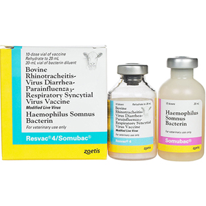 [10000370] Resvac 4/Somubac Cattle Vaccine 10 Dose - 20 mL (Keep Refrigerated)