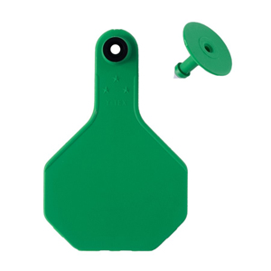 [7711000] Y-Tex All American 3 Star Medium 2 Piece Ear Tag - Green Blank