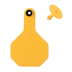 [7713000] Y-Tex All American 3 Star Medium 2 Piece Ear Tag - Yellow Blank