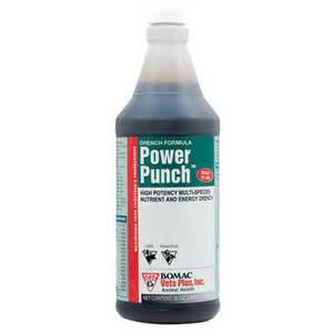 [20-600] Power Punch - 32 oz