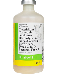[10009933] Ultrabac 8 50 Dose - 250 mL (Keep Refrigerated)