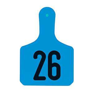 [Y0308026] Y-Tags Calf Blue Laser, 26-50