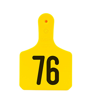 [Y0312076] Y-Tag Calf Yellow Laser, 76-100