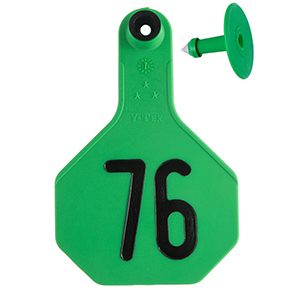 [7710076] Y-Tex All American 3 Star Medium 2 Piece Ear Tag - Green 76-100