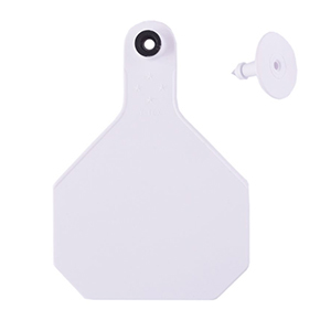 [7901000] Y-Tex All American 4 Star Large 2 Piece Ear Tag - White Blank