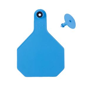 [7909000] Y-Tex All American 4 Star Large 2 Piece Ear Tag - Blue Blank