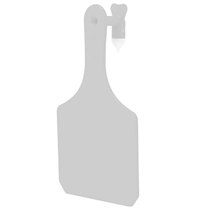 [Y0501025] Y-Tag Cow White Blank (25 Pack)