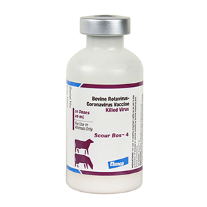 [248] Scour Bos 4 10 Dose - 20 mL (Keep Refrigerated)