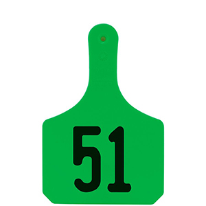 [Y0510051] Y-Tag Cow Green Laser, 51-75