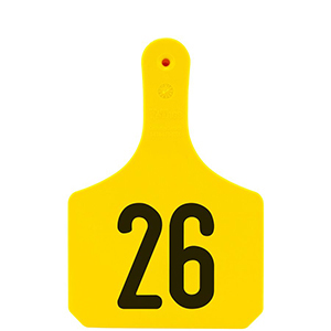 [Y0512026] Y-Tag Cow Yellow Laser, 26-50
