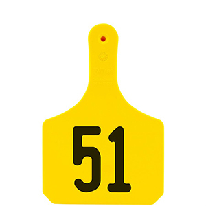 [Y0512051] Y-Tag Cow Yellow Laser, 51-75
