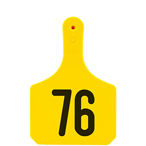 [Y0512076] Y-Tag Cow Yellow Laser, 76-100