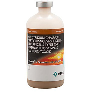 [069131] Vision 7 50 Dose - 400 mL (Keep Refrigerated)