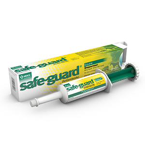 [066958] Safe-Guard Paste 10% - 92 g