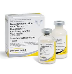 [10009260] Bovi-Shield GOLD One Shot 10 Dose - 20 mL (Keep Refrigerated)