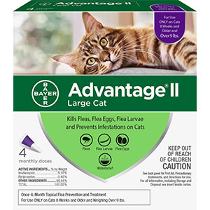 [B81520224] Advantage II Flea Treatment for Cats Over 9 lb (4 Pack)