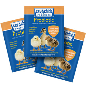 [01-7403-0203] Sav-A-Chick Probiotic (3 Pack)