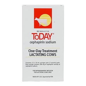 [139949] ToDay - 10 mL Syringe