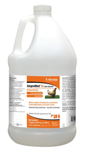 [1AMP018] AmproMed-P (Amprolium) Oral Solution 9.6% for Poultry - 1 gal