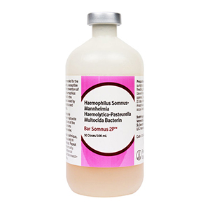 [135552] Bar-Somnus 2P 50 Dose - 100 mL (Keep Refrigerated)
