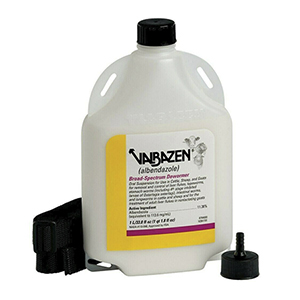 [10000342] Valbazen Includes Strap & Cap - 1 L