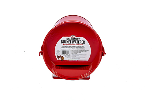 [PGB1] 1 Gallon Painted Galvanized Bucket Waterer for Poultry