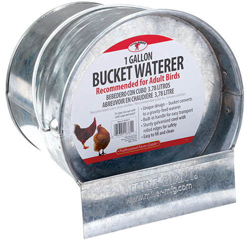 [167611] Little Giant Galvanized Bucket Poultry Waterer