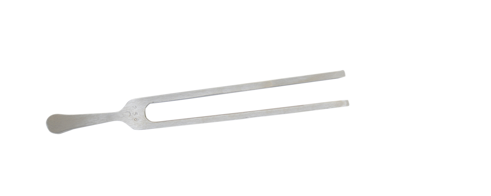 [12-1476] Baseline, Tuning Fork with weight, Student Grade, 256 cps